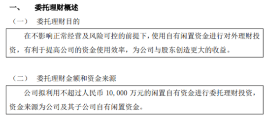 以自有資金從事投資活動 策略、優勢與風險管控